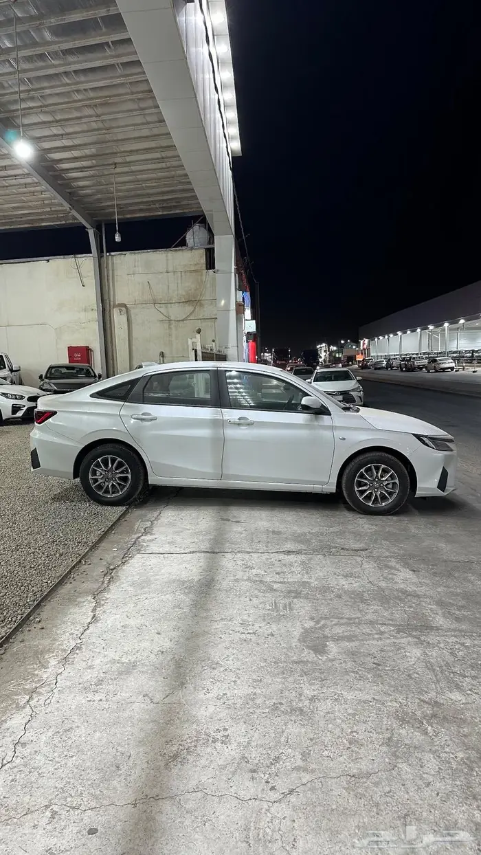 يارس ستاندر فئة ( y ) سعودي 2026 12