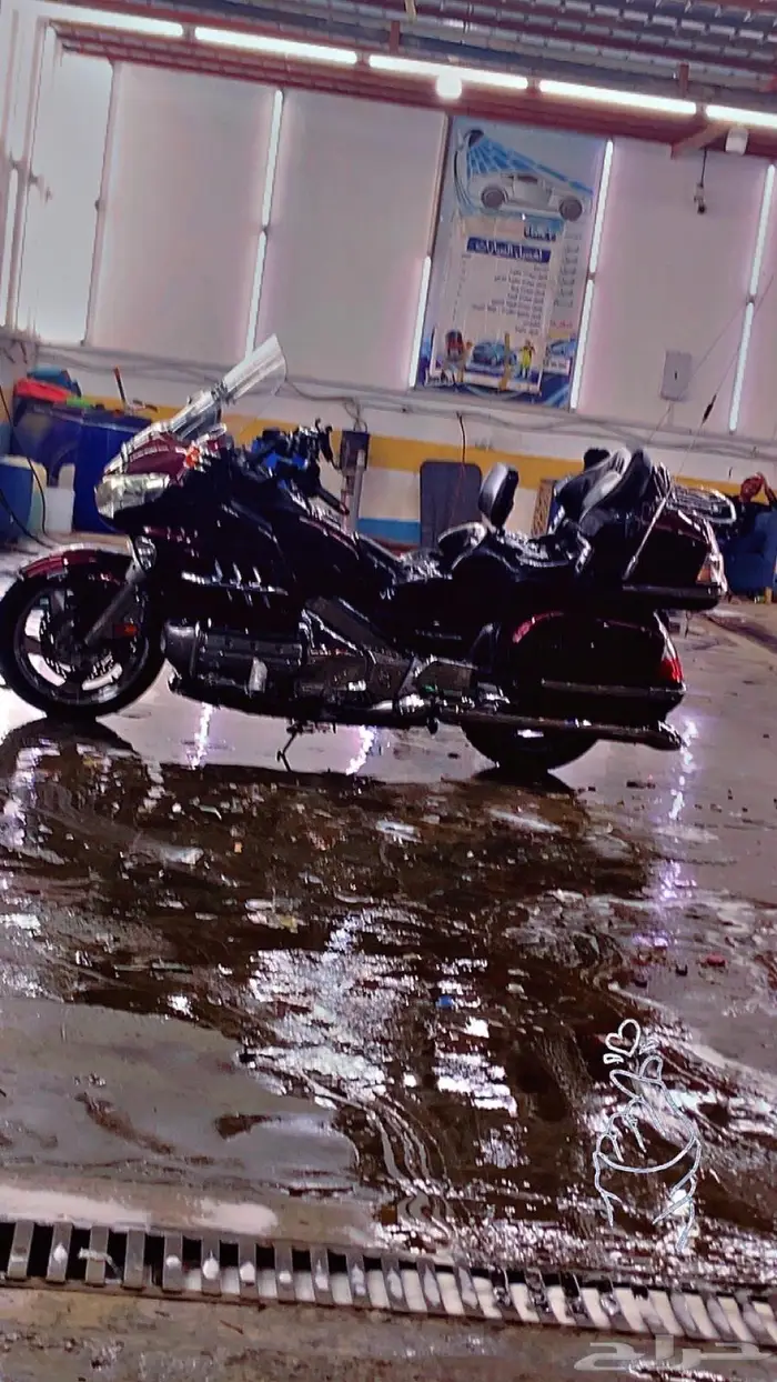 هونداء قولد وينق لفل 1 موديل 2006 4