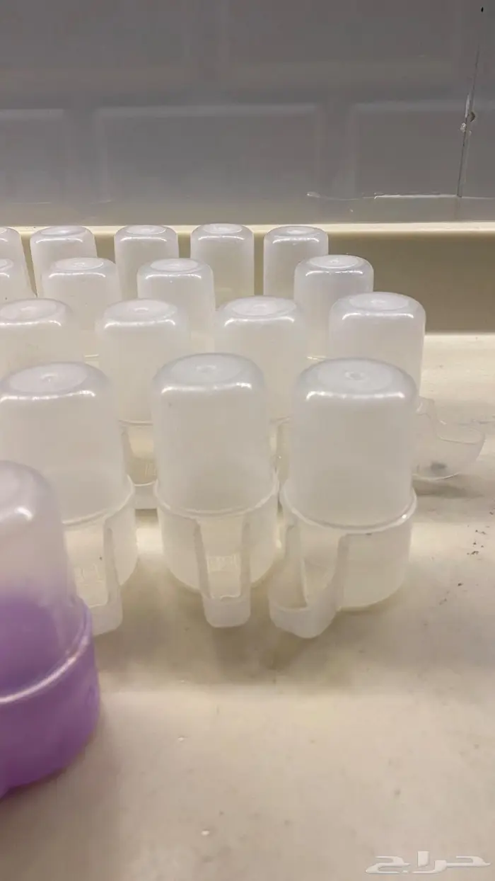 شرابات طيور 1