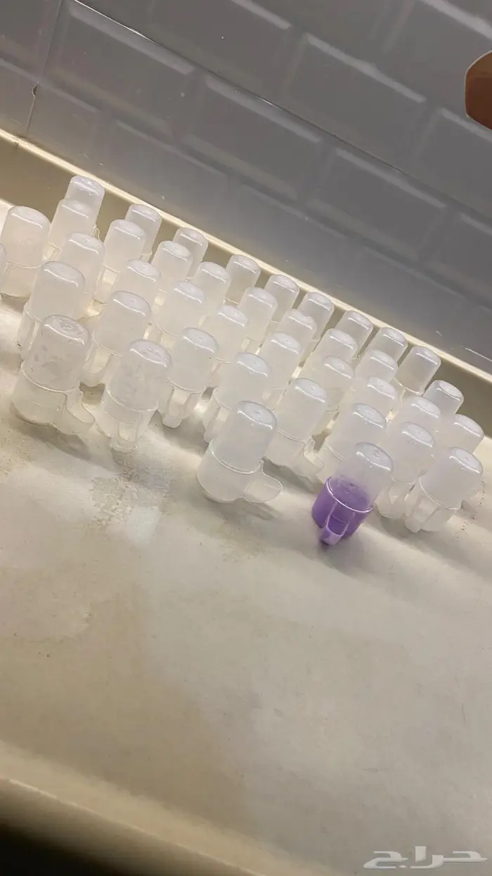 شرابات طيور 0