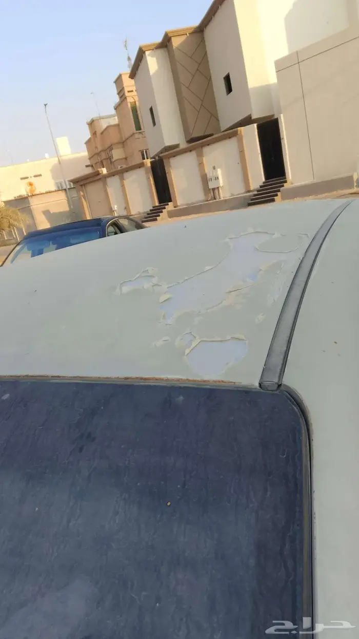 الشرقية الاحساء العمران 2