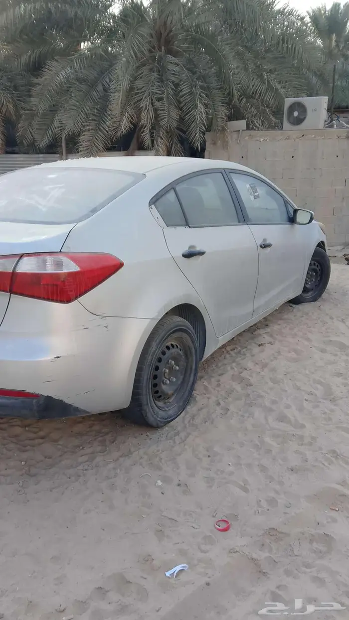 الشرقية الاحساء العمران 3