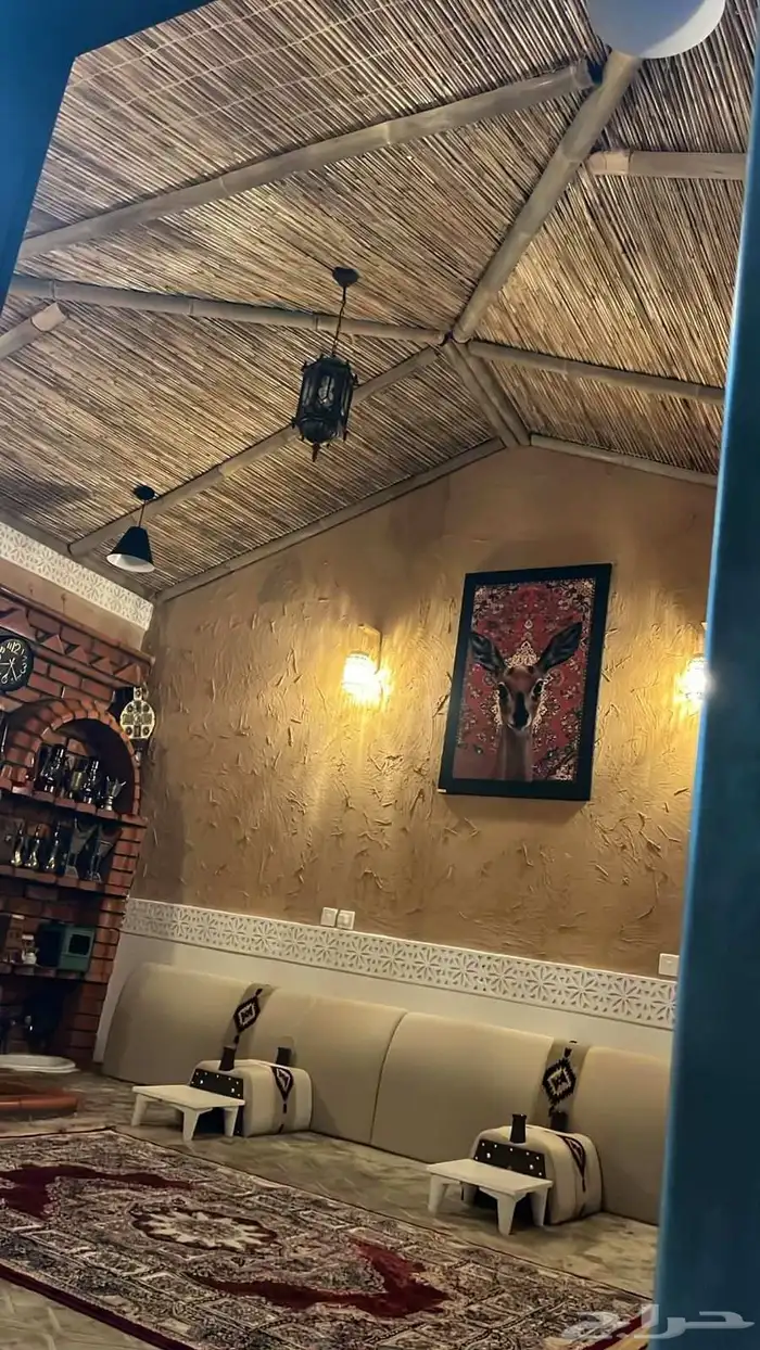 خيزران توريد 9