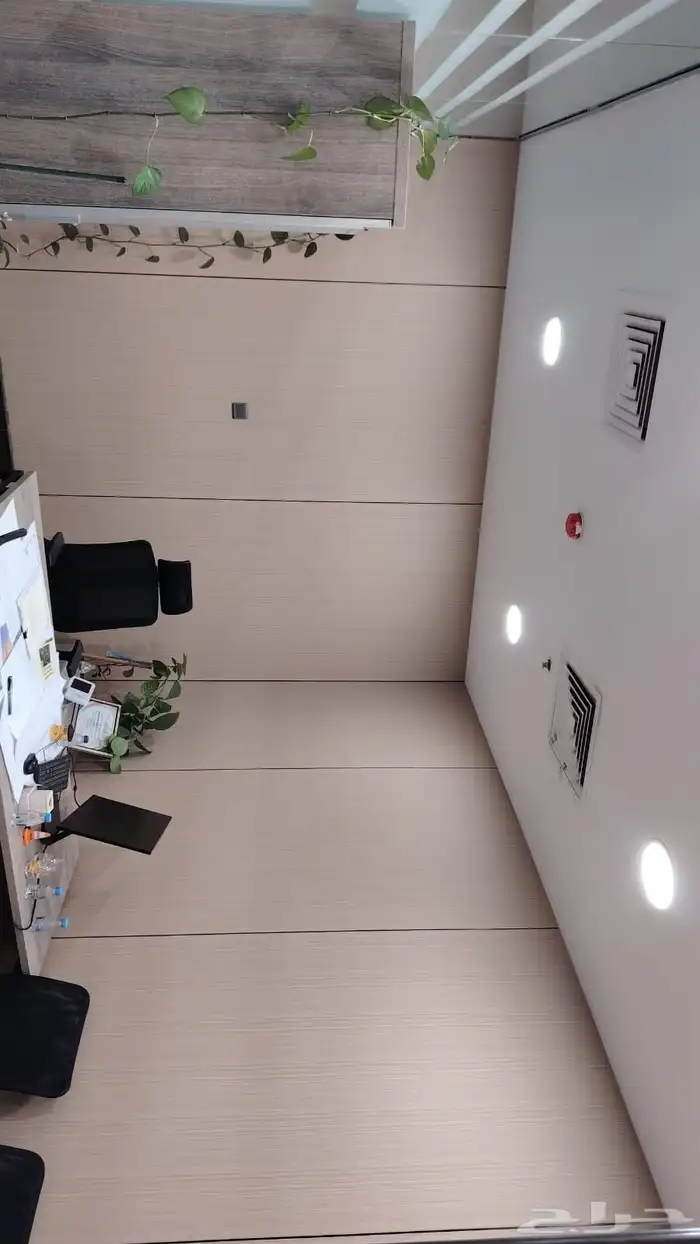 ديكورات اصباغ الاحساء 4