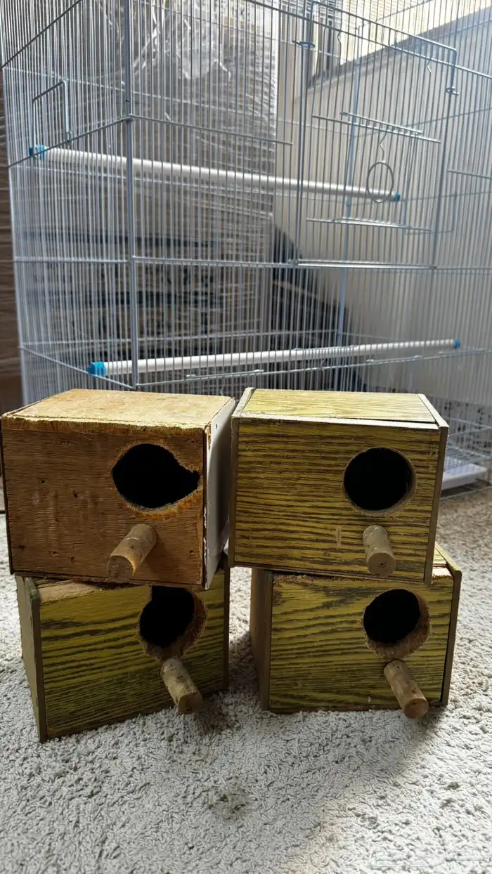 مطير بادجي او روز جديد ( تم البيع ) 2