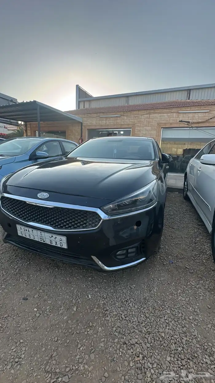 كادينزا 2018 للبيع 0