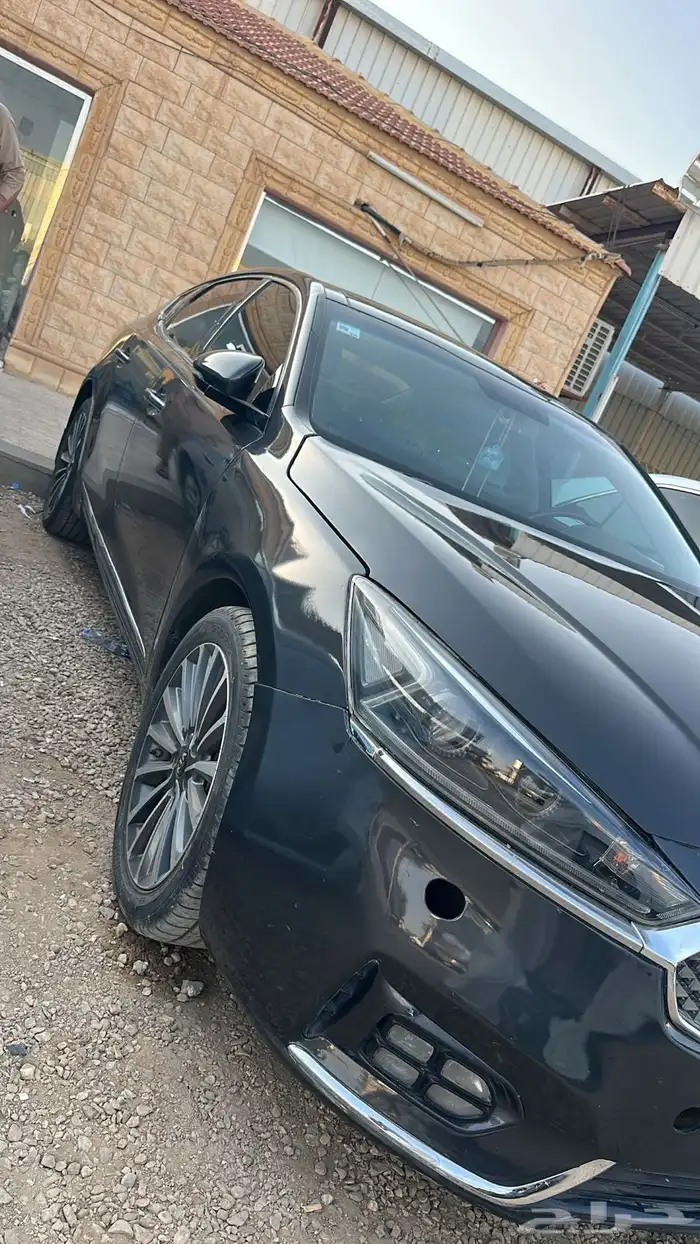 كادينزا 2018 للبيع 1