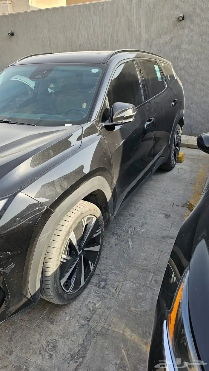 جيلي ستار راي 2024 4