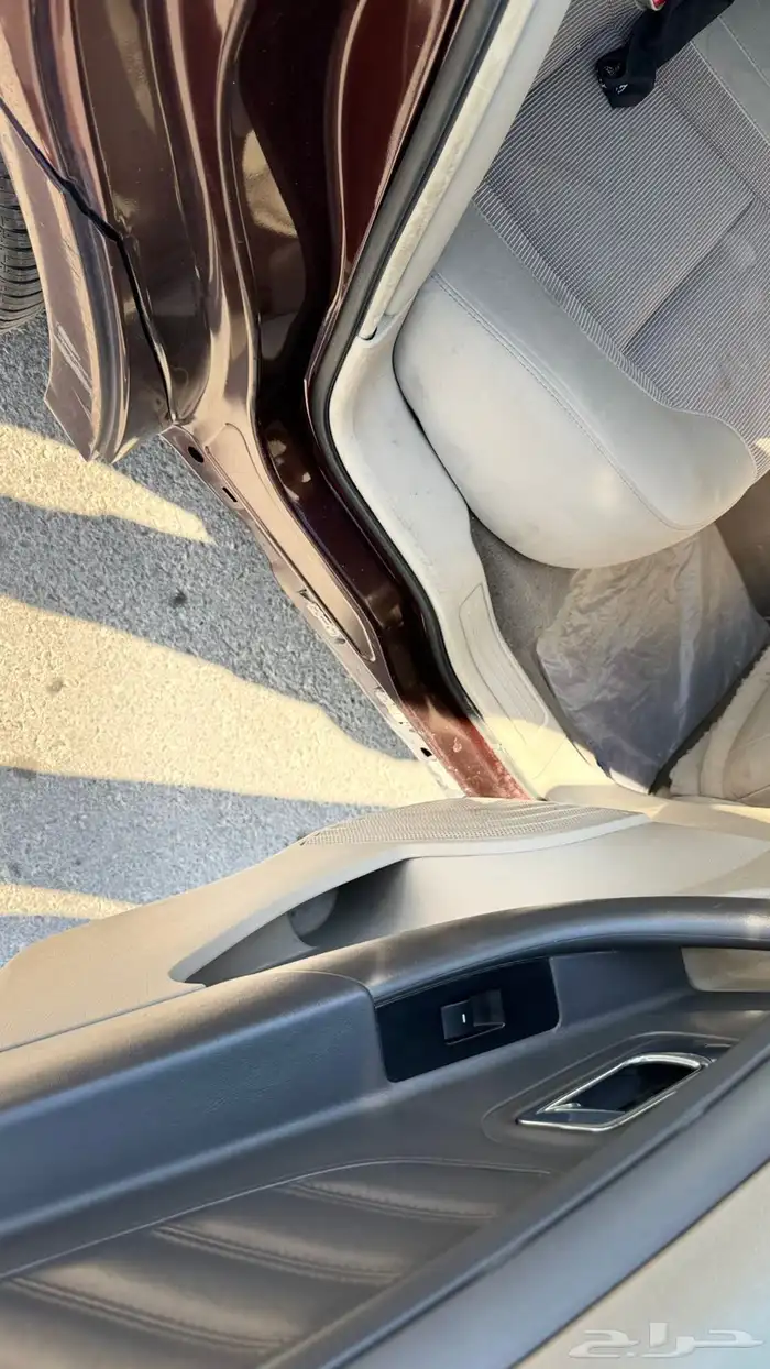 تورس بدي بلد 2