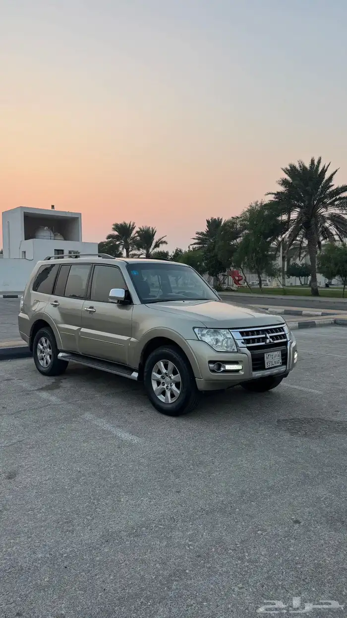 باجيرو نص فل 2017 6