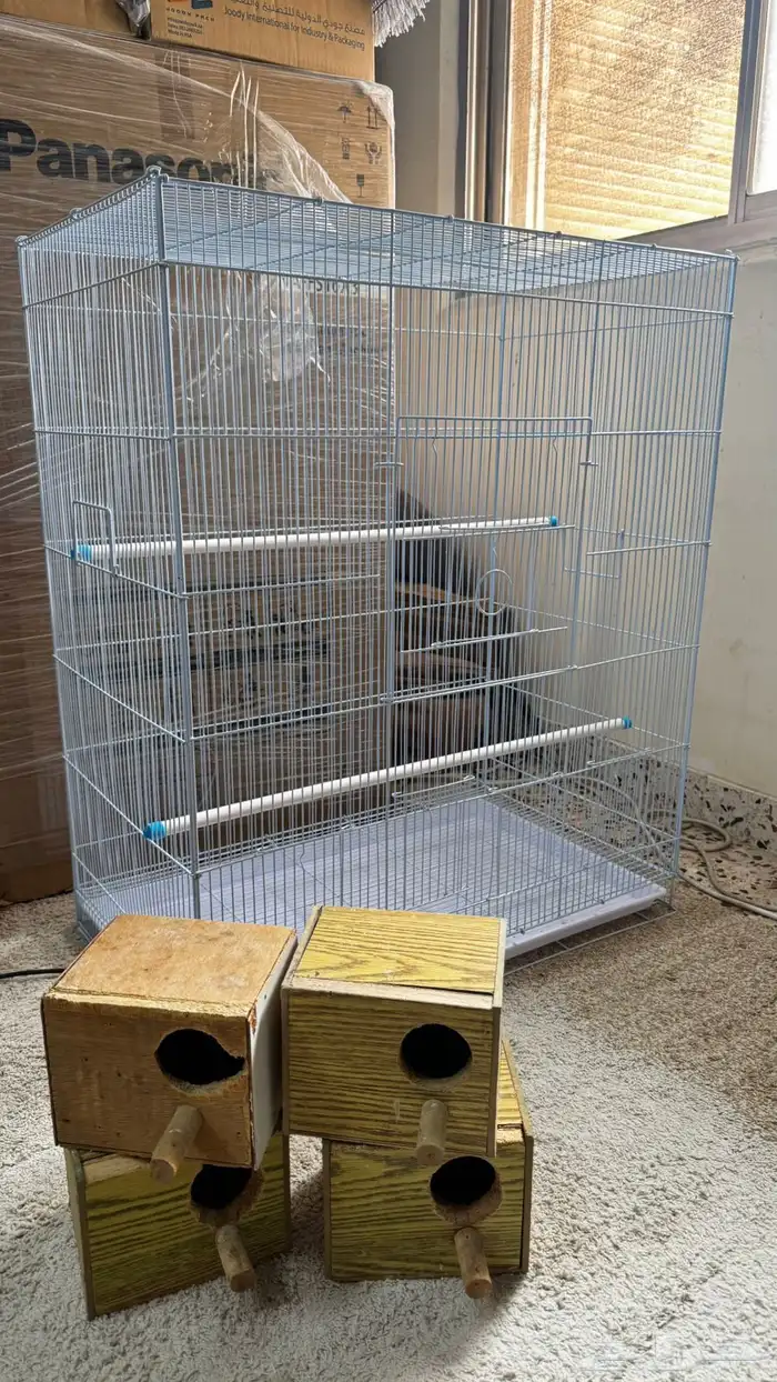 مطير بادجي او روز جديد ( تم البيع ) 1