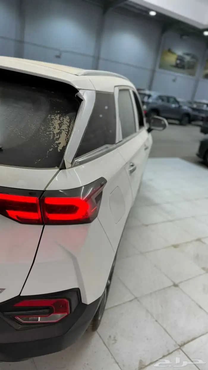 فاو بيستيون 2025 3