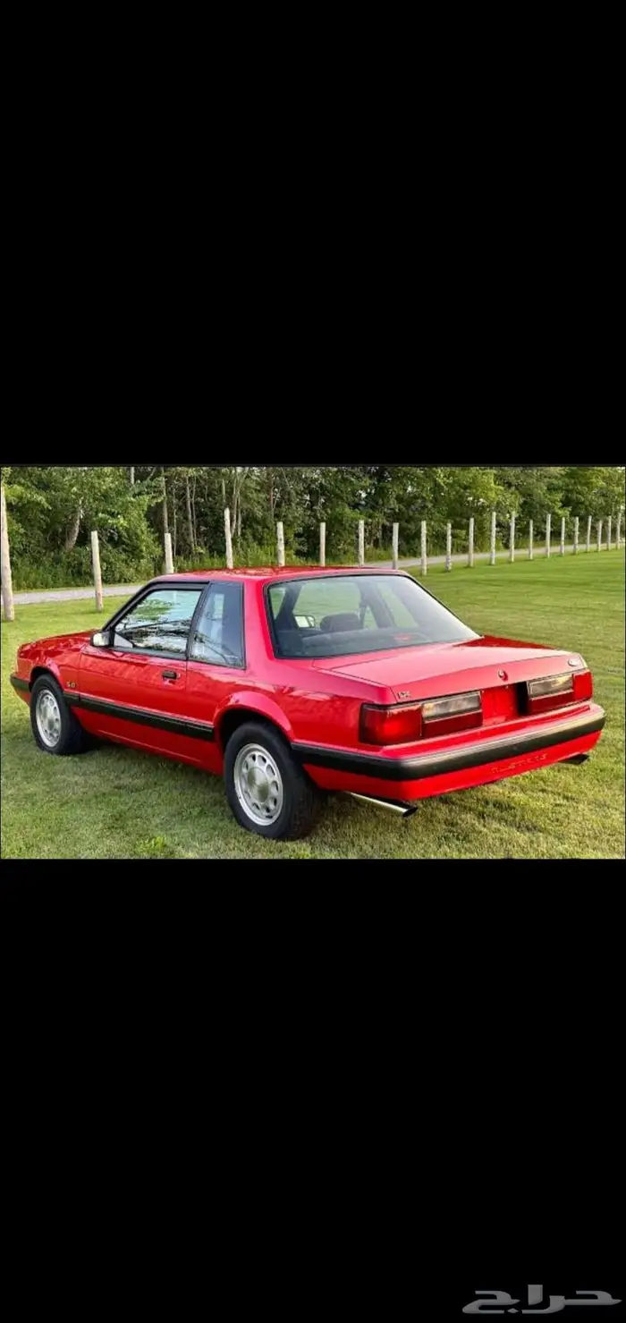 مطلوب موستنغ LX 0