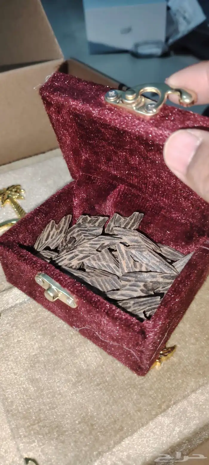 عود التايقر الفيتنامي الدرجه الاولى 1