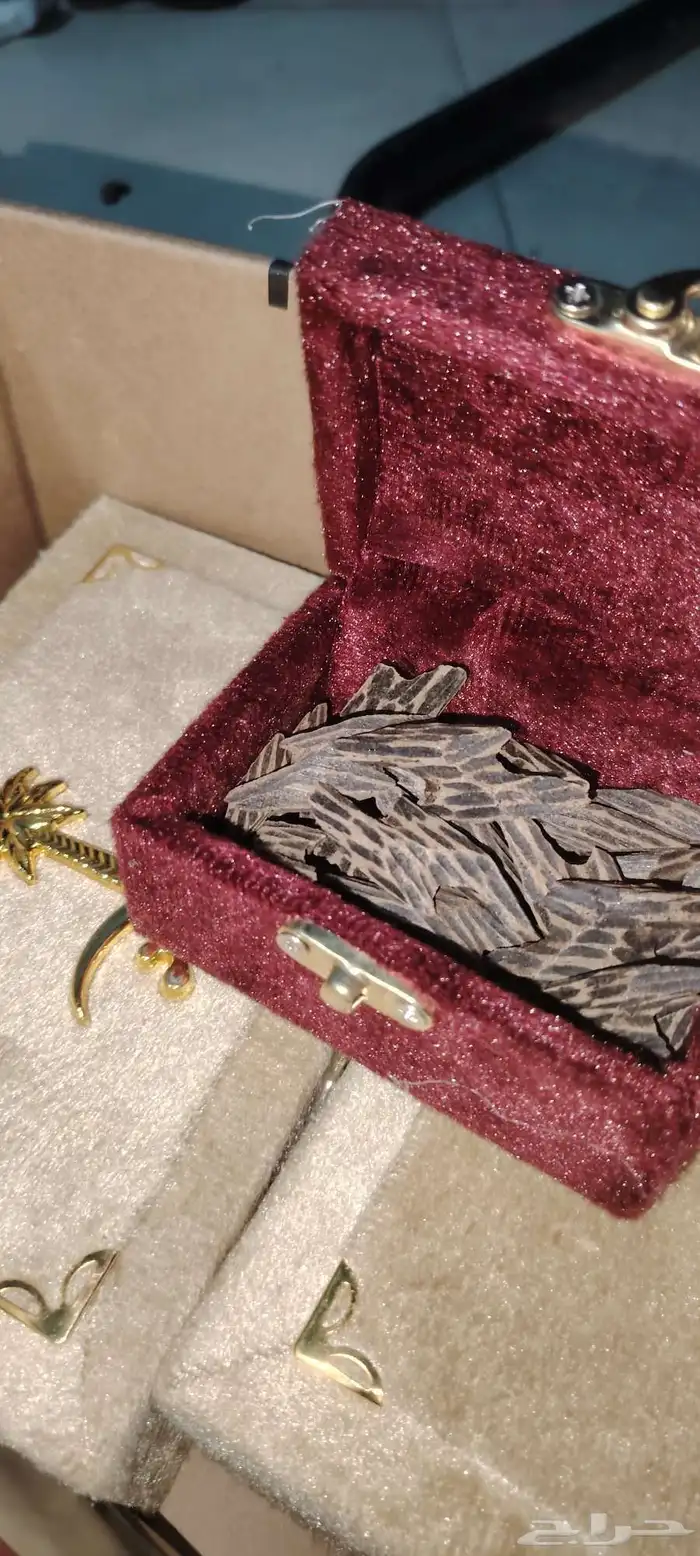 عود التايقر الفيتنامي الدرجه الاولى 2