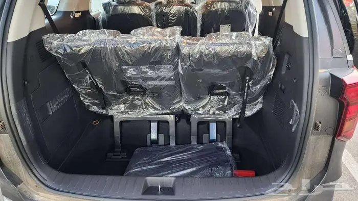 كيا كارنيفال ستاندر 2026 ( عررض ) 24