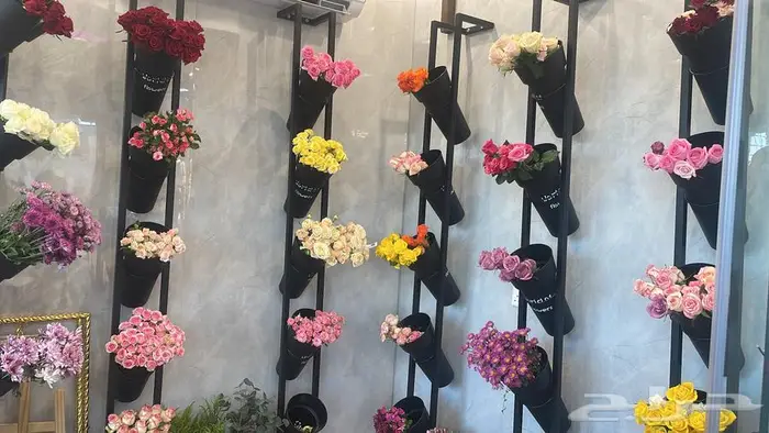 مطلوب زوجة مسيار الطايف 0