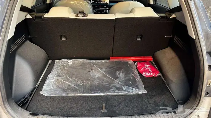 سيلتوس ستاندر مطور 6