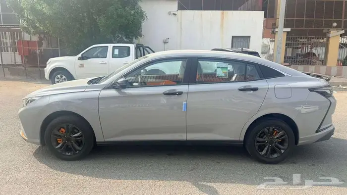 دونج فينج شاين E1 ستاندر 2026 8