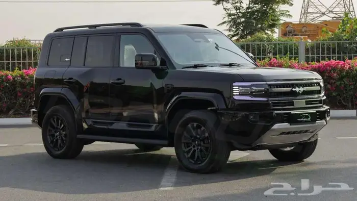 2025 بي واي دي ليوبارد 8 هايبرد اصفار مع ضمان 3