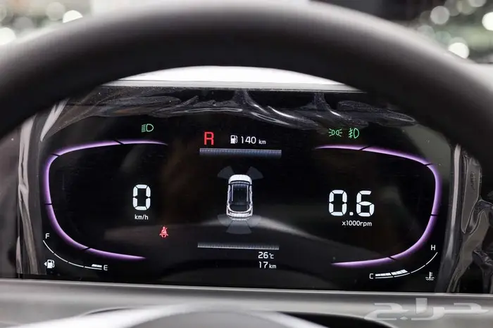 سيلتوس نص فل 2025 10