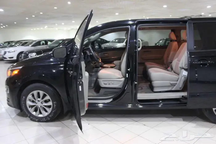 كرنفال 2020 اسود بطاقة جمركيه بوية بلده 31