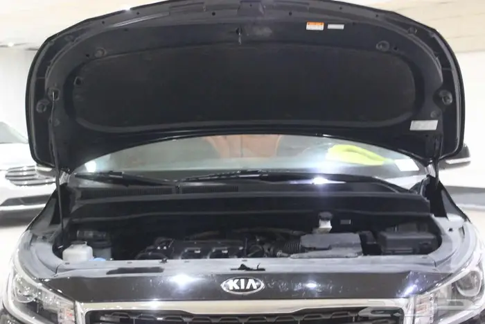 كرنفال 2020 اسود بطاقة جمركيه بوية بلده 57