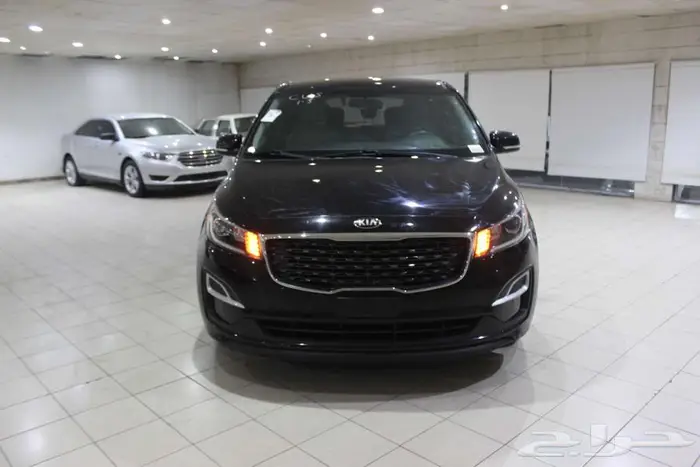 كرنفال 2020 اسود بطاقة جمركيه بوية بلده 5