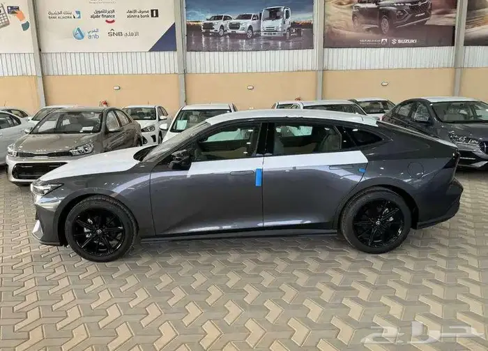 شانجان يونى فى ايليت 2026 اصفار المجدوعي 7