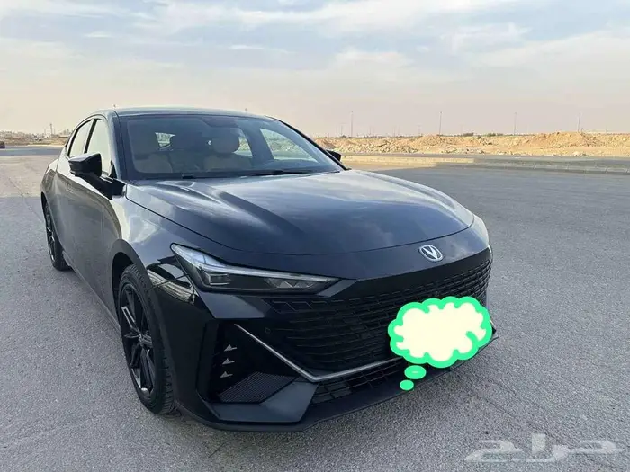 شانجان يوني في 2024 2