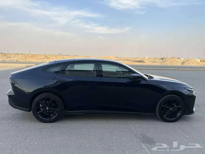 شانجان يوني في 2024 4