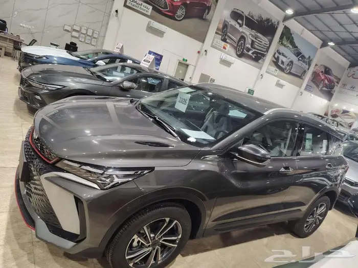 جيلي كولراي استاندر 2026 7