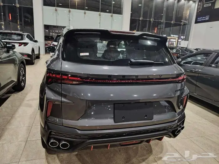 جيلي كولراي استاندر 2026 6