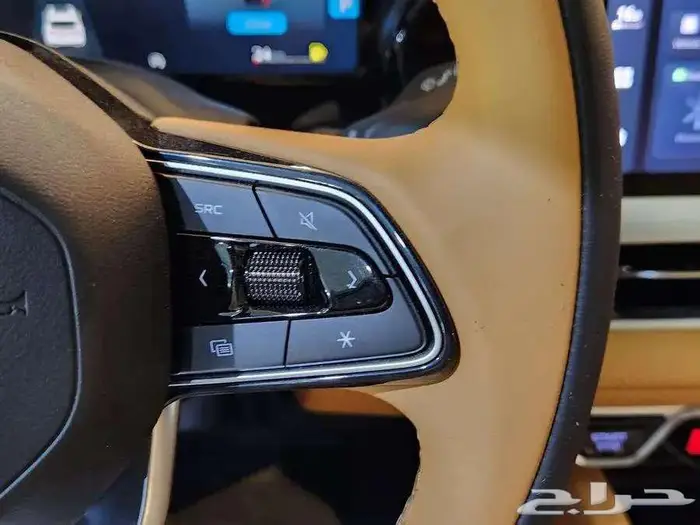 جيلي مونجارو فل بلس 2026 11