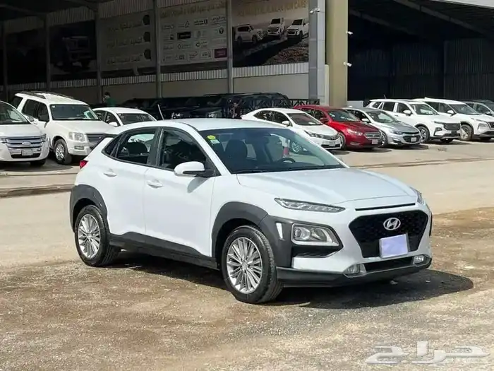 كونا 2020 سعودي 13