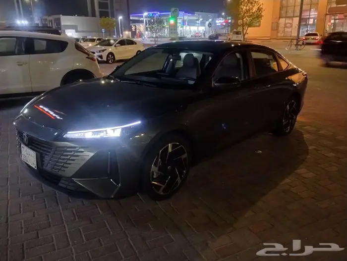 إيدو 2025 للبيع أخت الجديدة 6