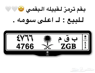 اللوحه للبيع ( ب ق م 4766 ) 0