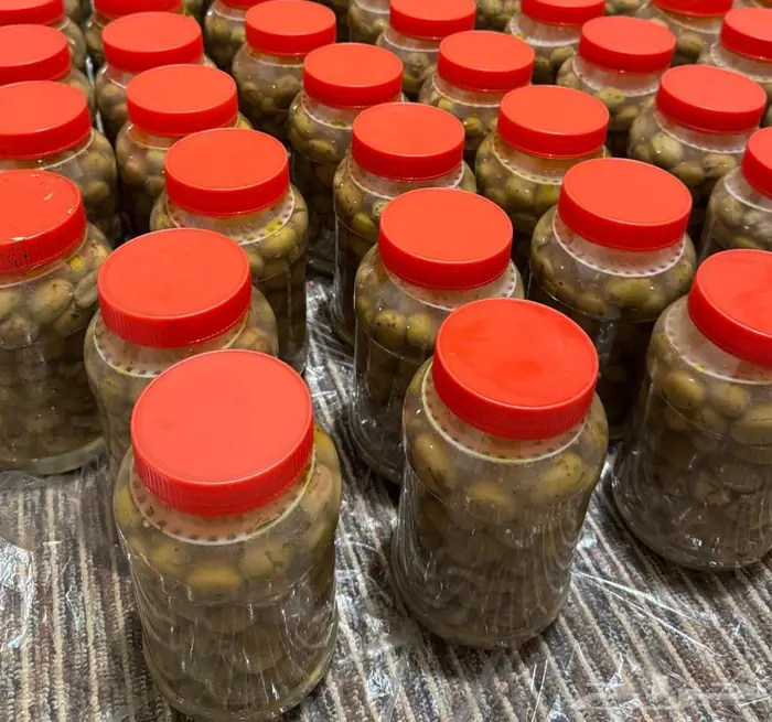 مخلل زيتون على الطريقة المغربية طازج 1