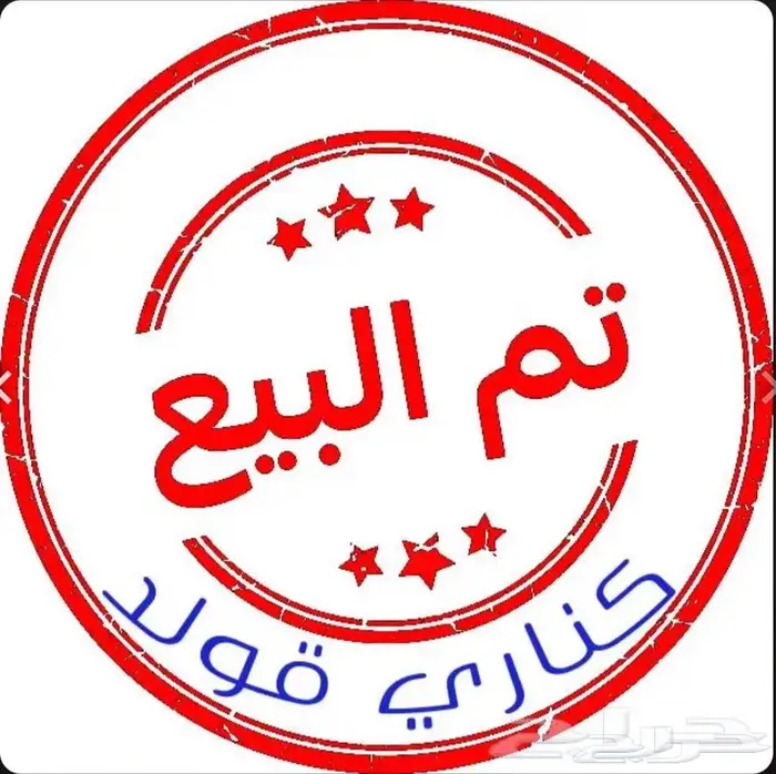 مجموعة طيور كناري منوعة 0