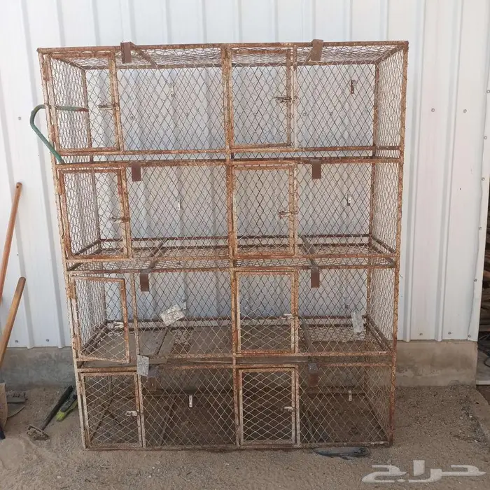 شبك للطيور أدوار 0