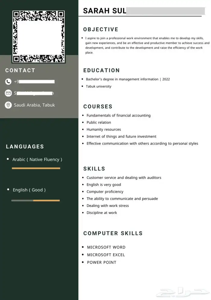 سيرة ذاتية احترافية ATS 8