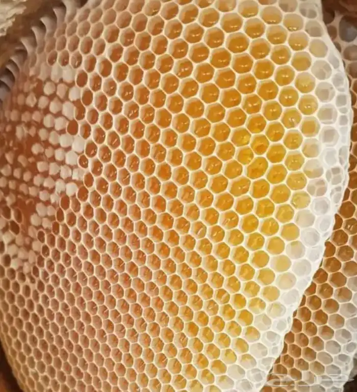 عسل سدر شمع علي الطلب الكيلو 350نقص لك ونت موجود علي نضر عي 0