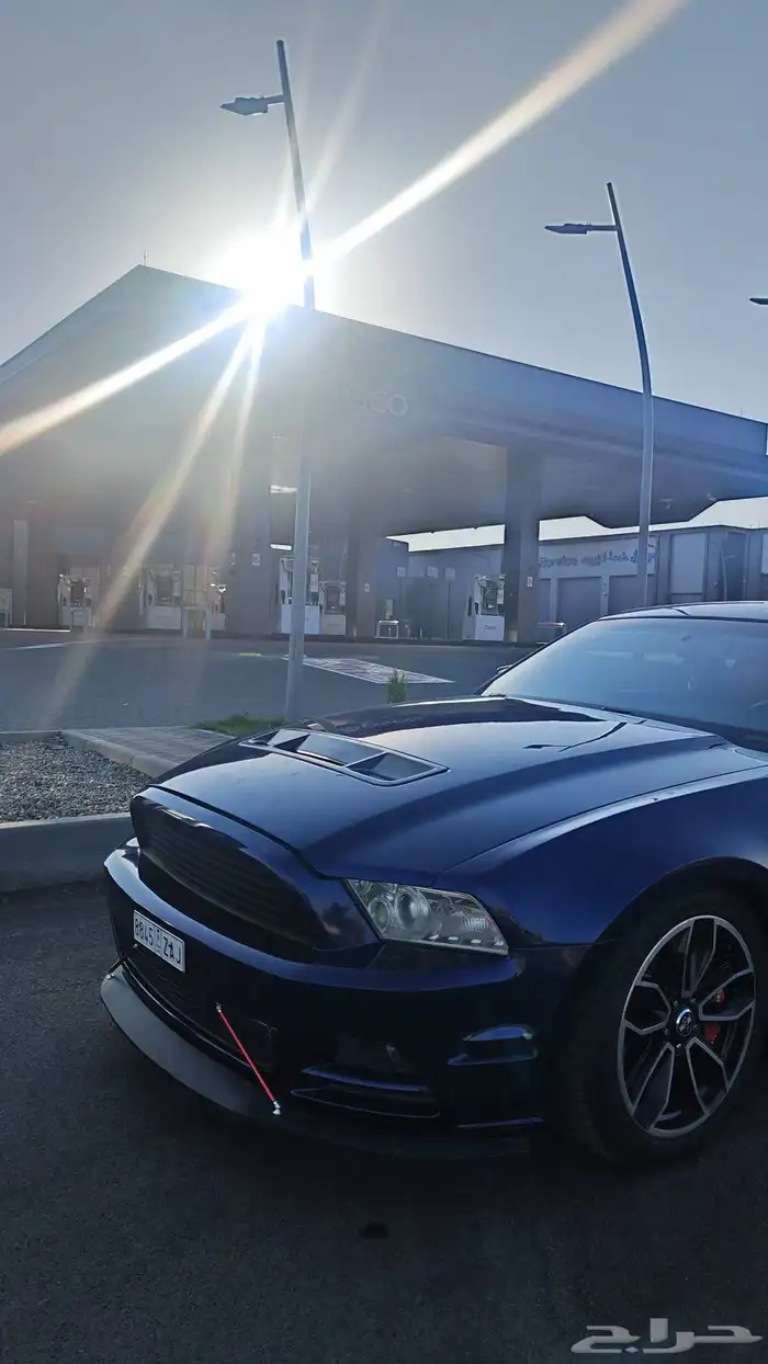 موستنق 5.0 2012 0