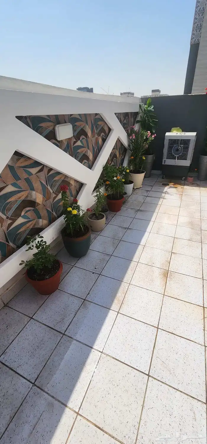 تنسيق حدائق صيانه الحدائق الشهريه والسنويه وبيع الثيل الطبيع 6