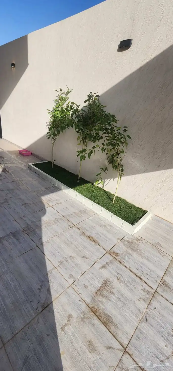 تنسيق حدائق صيانه الحدائق الشهريه والسنويه وبيع الثيل الطبيع 7