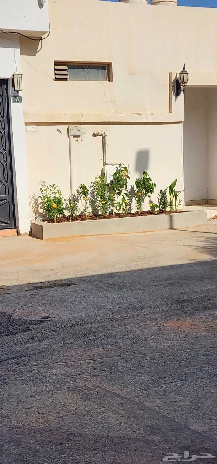 تنسيق حدائق صيانه الحدائق الشهريه والسنويه وبيع الثيل الطبيع 8