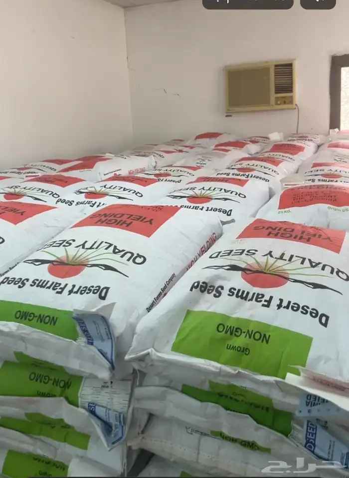 بذور برسيم . سرالصحراء 0