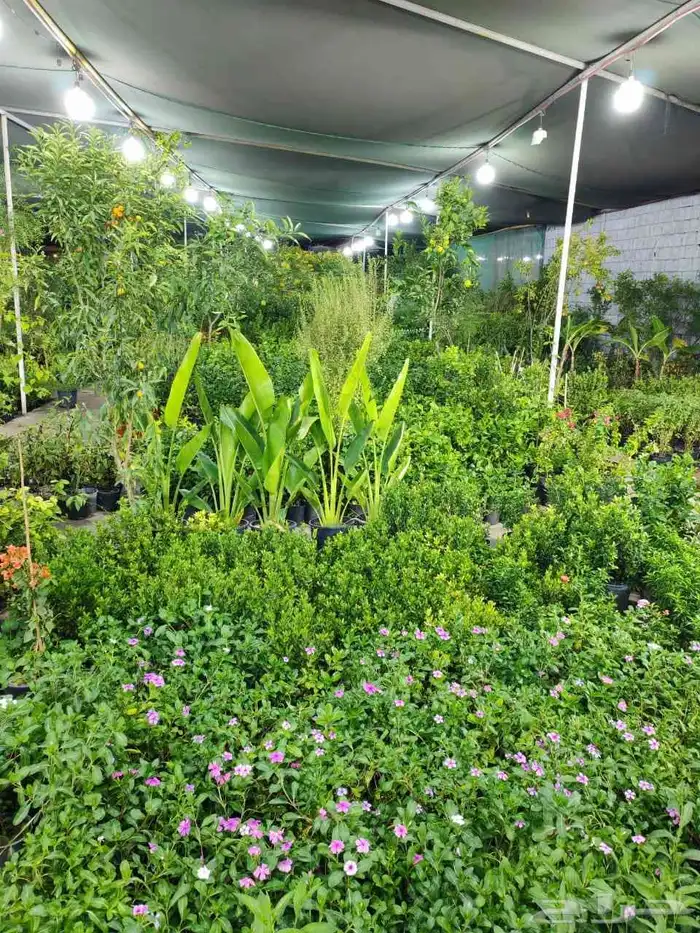 زراع طبيعي و مشتل زراعية طبيعي 5