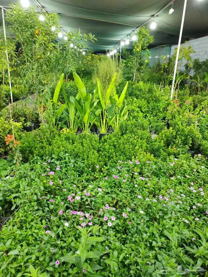 زراع طبيعي و مشتل زراعية طبيعي 2