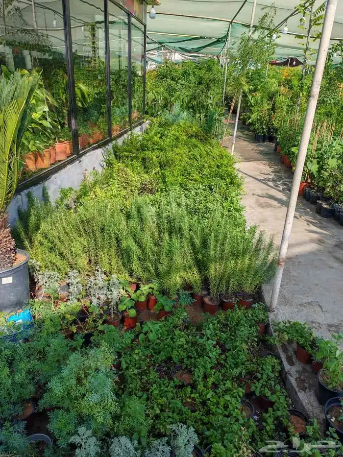 زراع طبيعي و مشتل زراعية طبيعي 8